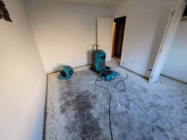 Best Water damage cleanup near me  in Tipp City, OH