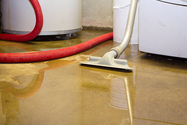 Best Carpet water damage restoration  in Tipp City, OH